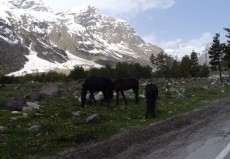 Elbrus2015P1210232